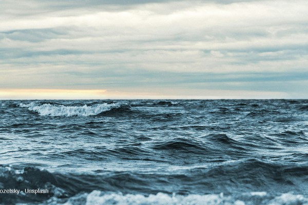 Oggi è la Giornata mondiale degli Oceani