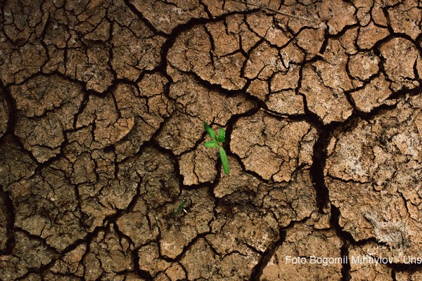 Il climate change costa caro